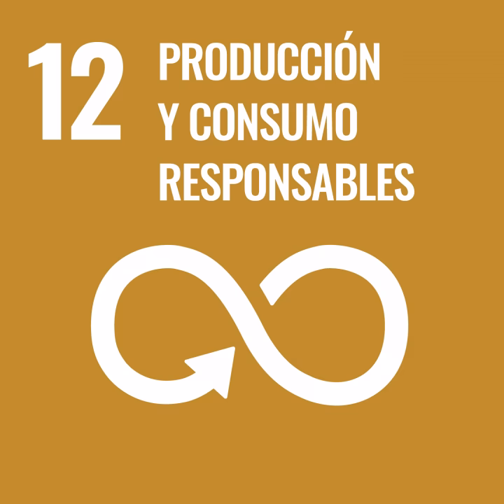 ¿Qué es el consumo y la producción sostenible?