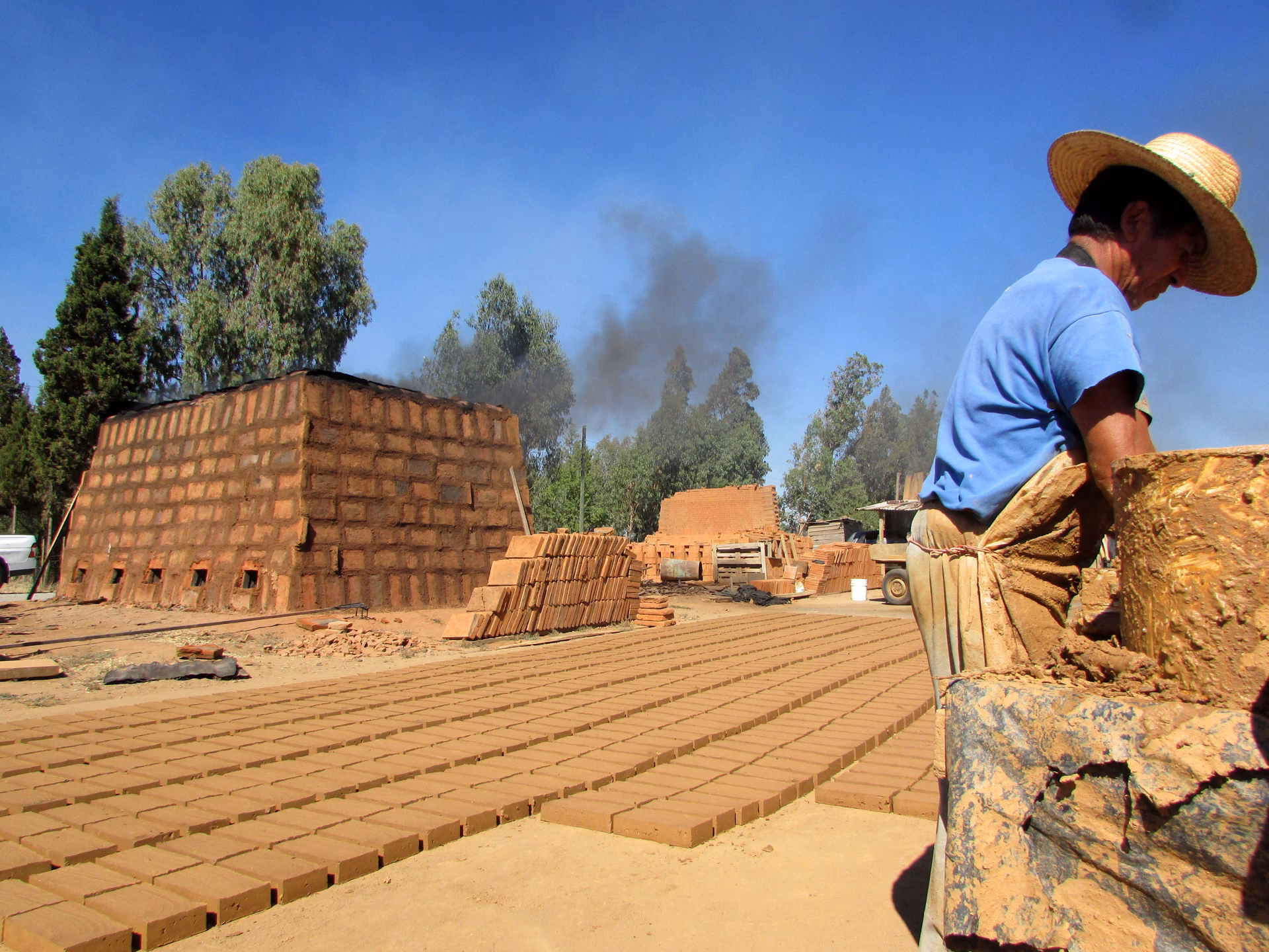 ¿Cómo desarrollar una política medioambiental adecuada?