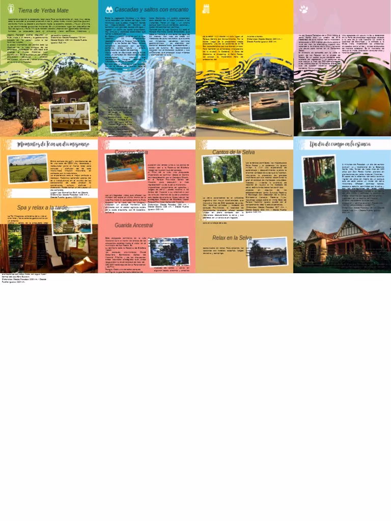 ¿Cuál es el bioma de la meseta misionera?