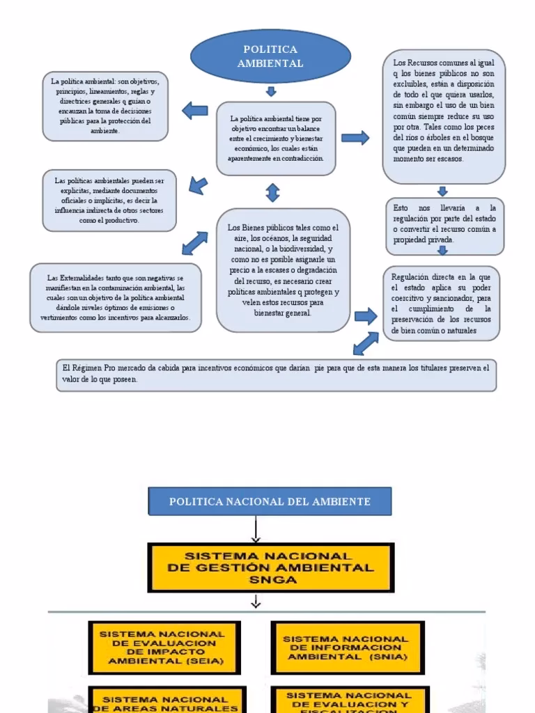 ¿Cuáles son los problemas que tiene el proceso de construcción de las políticas públicas?