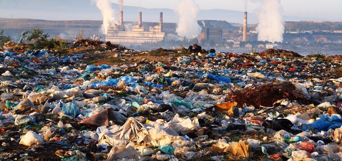 ¿Cómo afecta la polución al medio ambiente?