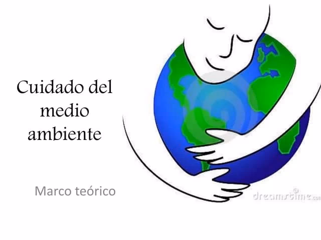 ¿Cuál es la importancia del cuidado y preservación del Medio Ambiente?
