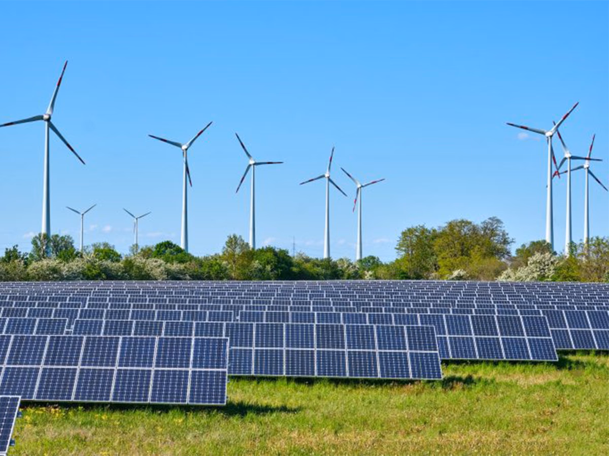 ¿Cuál es la energía renovable más utilizada en el mundo?