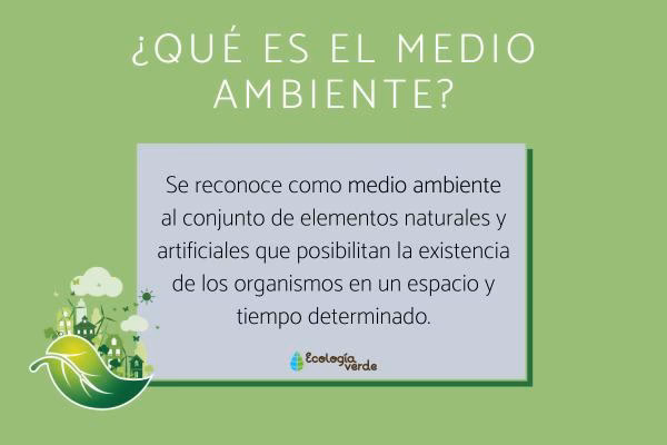 ¿Qué es el medio ambiente?