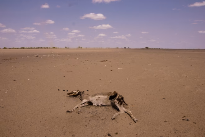 ¿Cómo afecta el calentamiento global a las sequías?