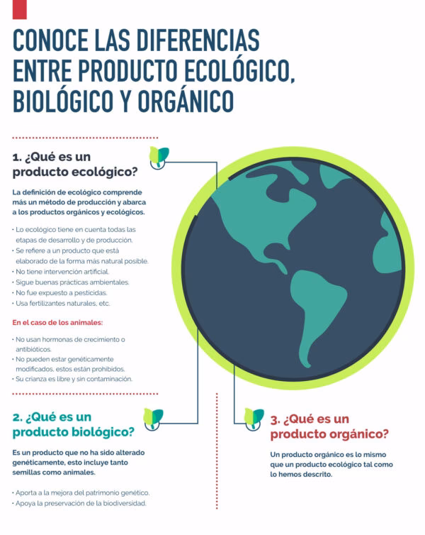 ¿Qué es un producto eco?
