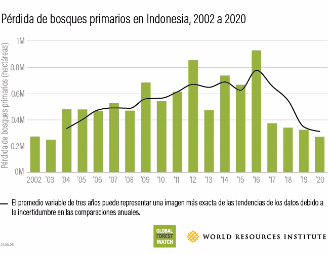 ¿Por qué es importante evitar la deforestación?