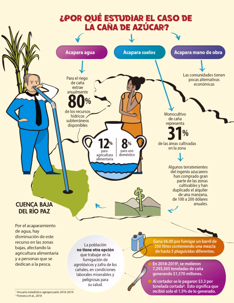 ¿Cómo afectan los agrotóxicos a los ríos?