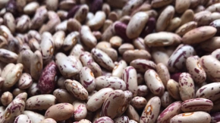¿Cómo afecta el ataque de las bacterias a tu poro?