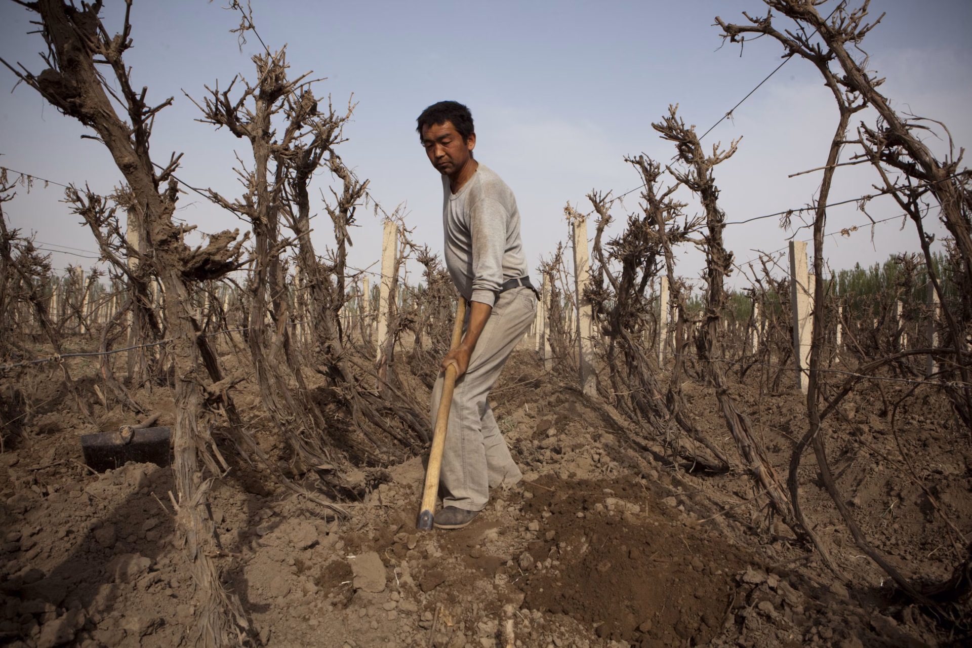 ¿Cuál es el caso más complicado de afectación de la ciudadanía por contaminación del suelo?