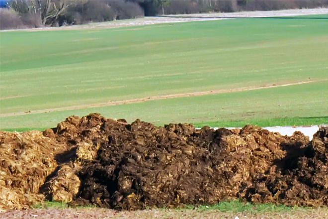 ¿Cuál es el origen de la contaminación del estiércol?