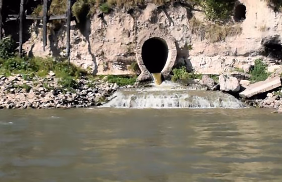 ¿Qué le pasó a Paladini?