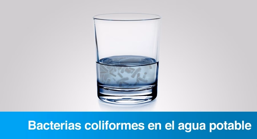 ¿Qué causa la contaminación de bacterias coliformes?