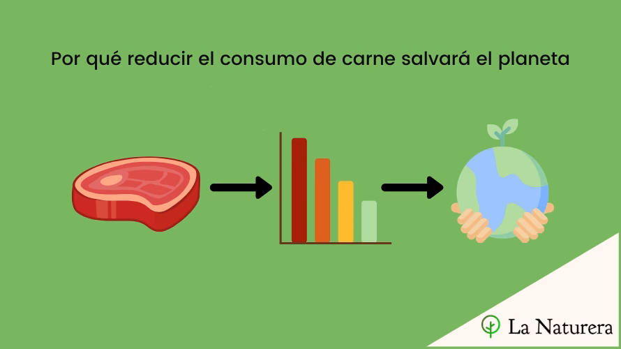 ¿Cómo afecta el consumo de carne al calentamiento global?