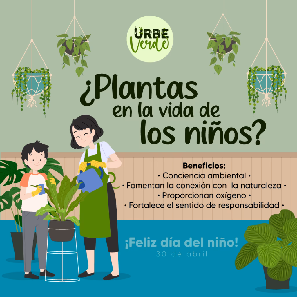¿Cuáles son los beneficios de las plantas para el ambiente?