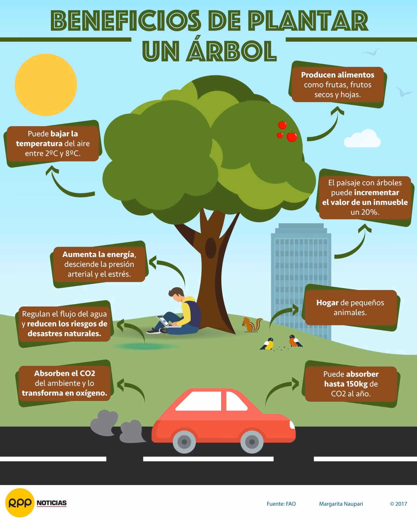 ¿Cuál es la importancia de los árboles para el medio ambiente?