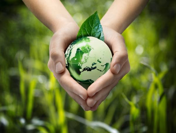 ¿Cuáles son los factores medioambientales que afectan la salud?