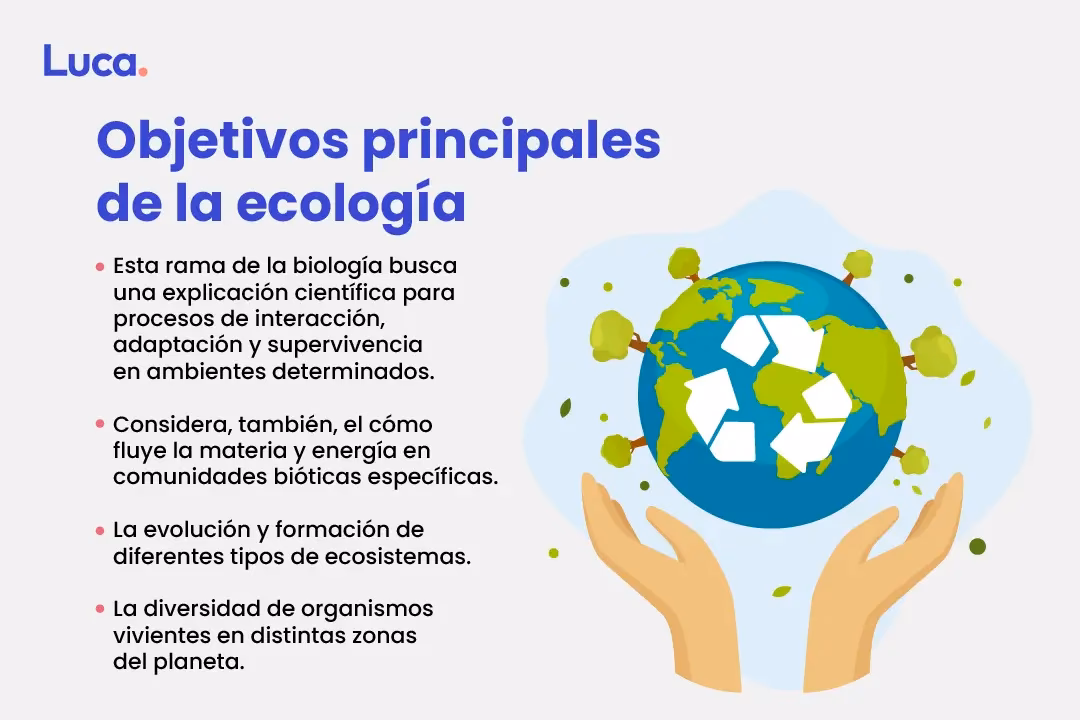 ¿Cuál es la diferencia entre ecología y medio ambiente?