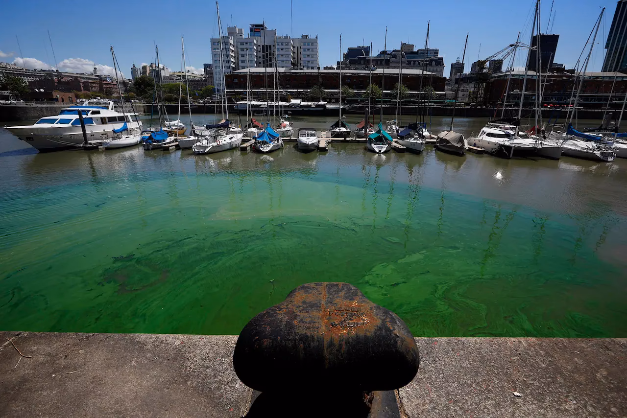 ¿Cuáles son las bacterias coliformes en Puerto Madero?