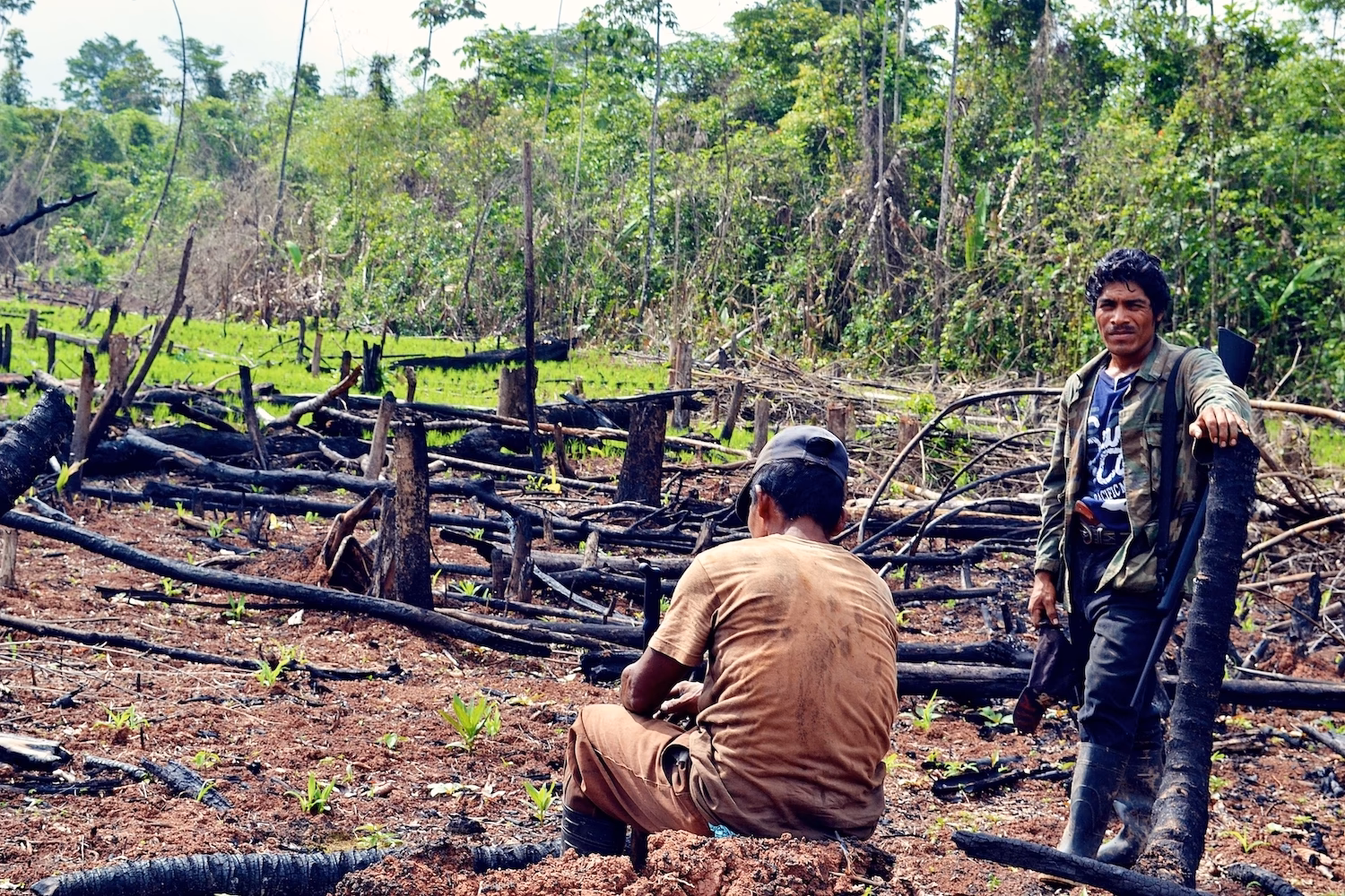¿Cómo proteger el Medio Ambiente y los derechos de los pueblos originarios?