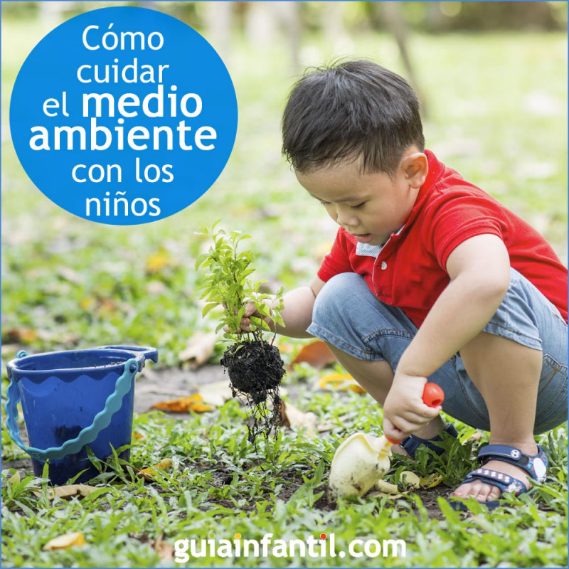 ¿Por qué hay personas que no cuidan el medio ambiente?