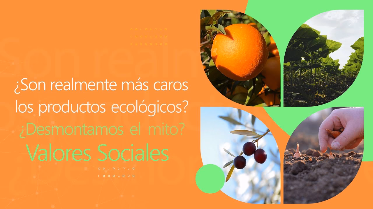 ¿Por qué es importante apoyar el consumo de productos ecológicos?