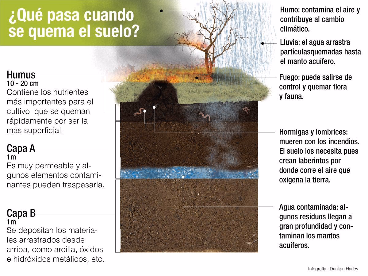 ¿Cómo afecta el incendio a los nutrientes del suelo?