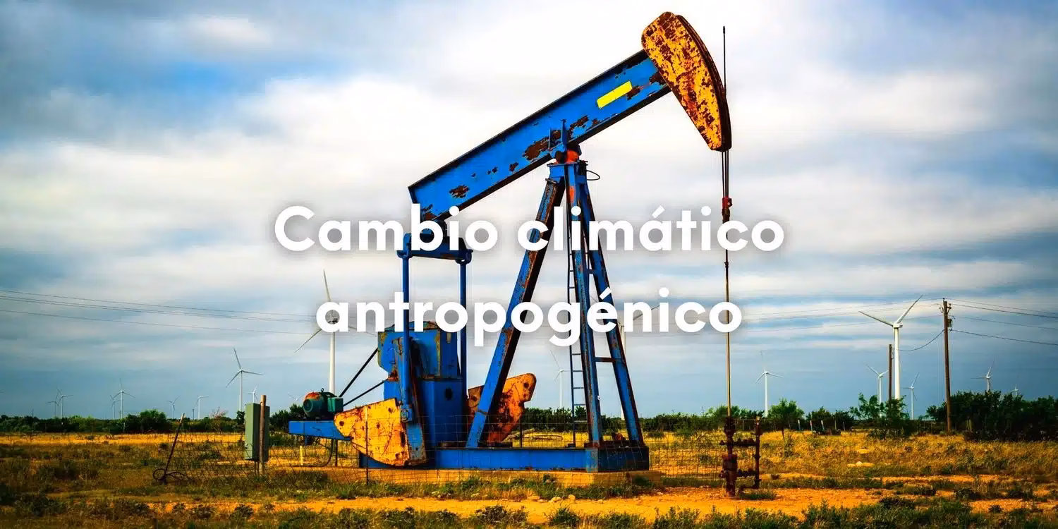 ¿Cuáles son los efectos de los cambios climáticos?