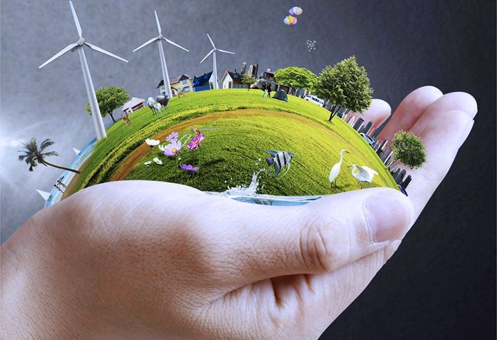 ¿Qué ofrece la plataforma en línea del Ministerio de ambiente nacional?