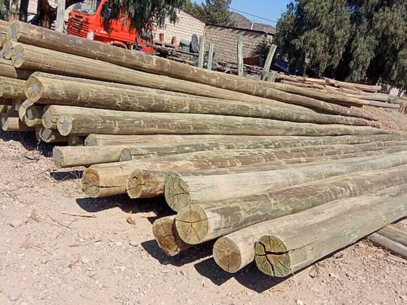 ¿Qué es el poste de eucalipto?