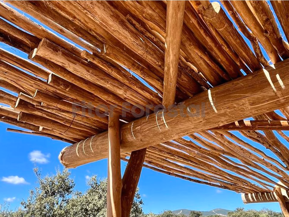 ¿Por qué se reemplazan los postes?