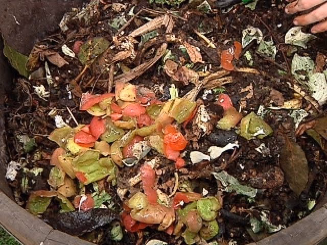 ¿Cómo se hace el compostaje en fosa?