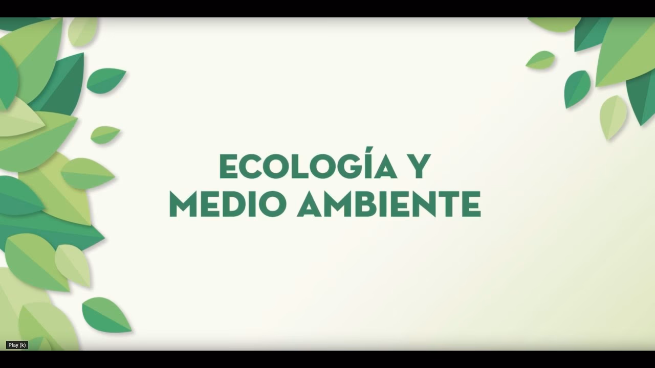 ¿Qué es la protección del Medio Ambiente?