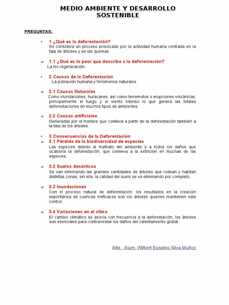 ¿Cuál es el problema de la deforestación?