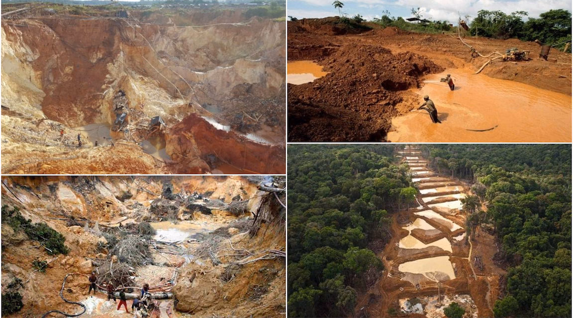 ¿Cómo contribuyen las áreas protegidas a la salud de los ecosistemas?