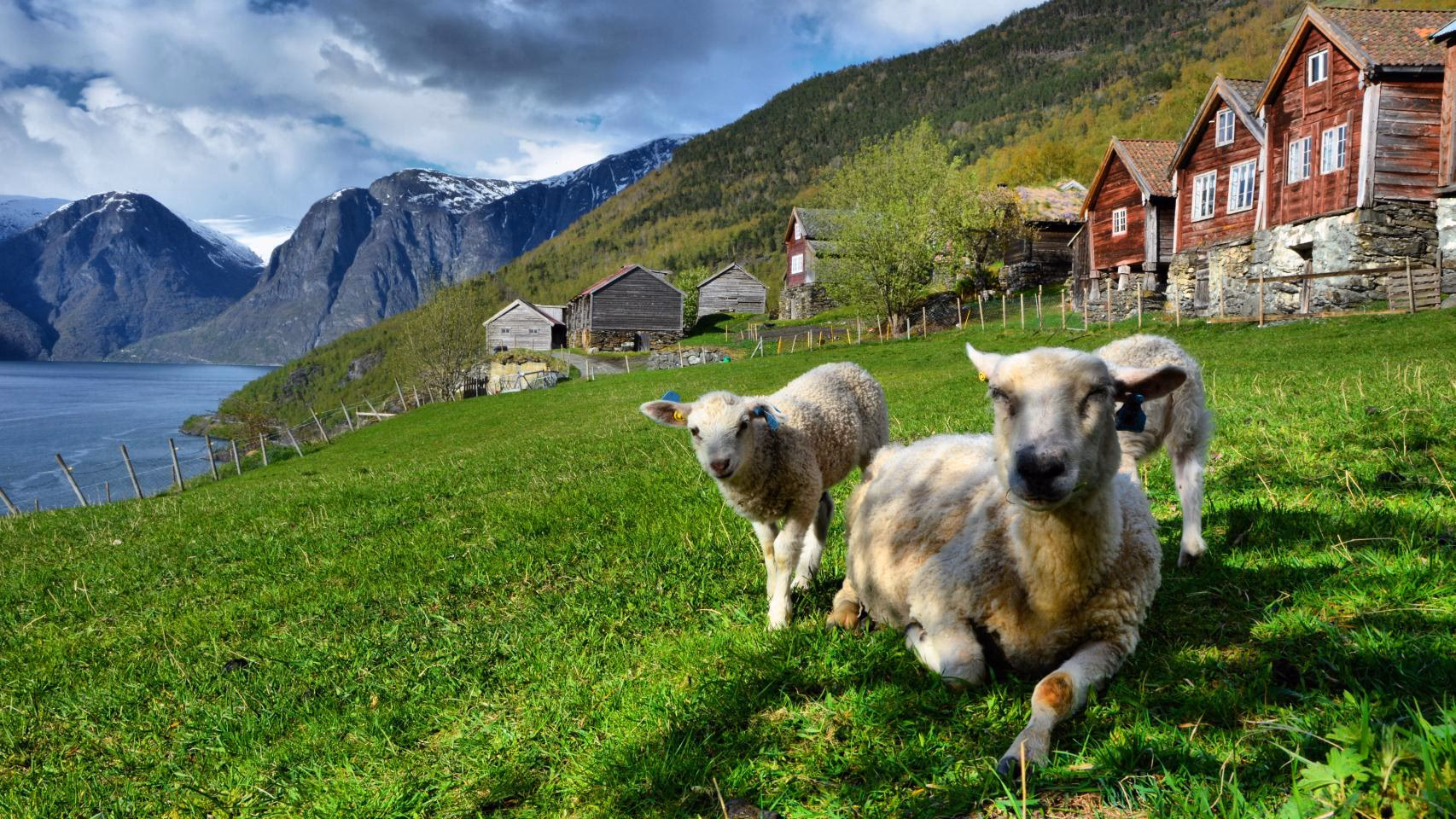 ¿Cuáles son las políticas ambientales de Noruega?