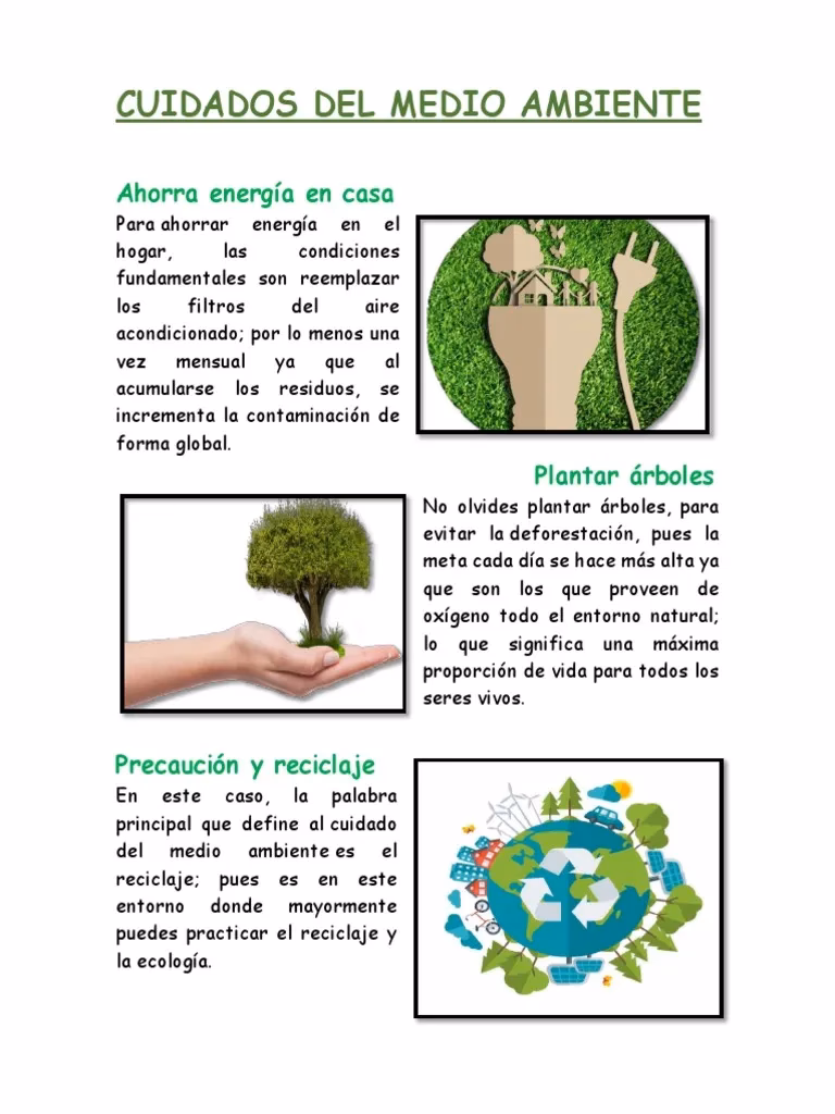 ¿Qué es la protección del Medio Ambiente?