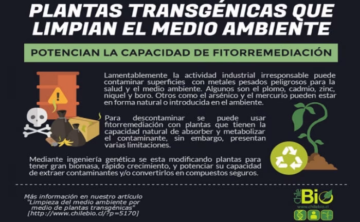 ¿Cuáles son los inconvenientes de las baterías de níquel cadmio?