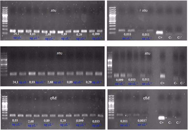 ¿Qué son las pruebas de PCR?