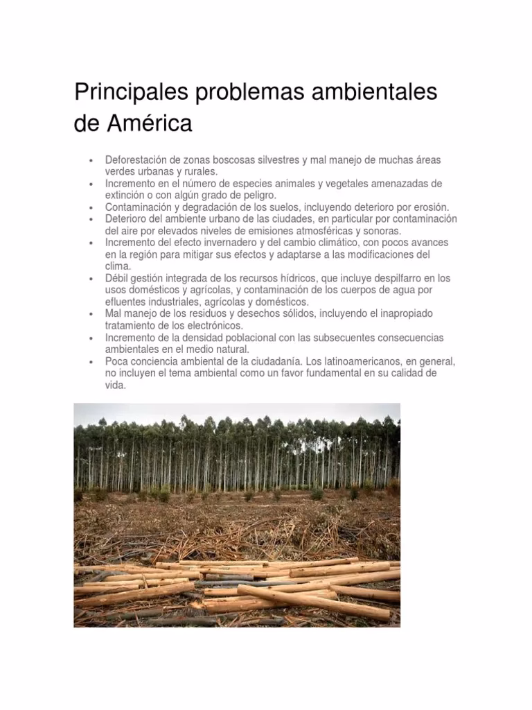 ¿Cuál es la importancia del sector agropecuario en Panamá?