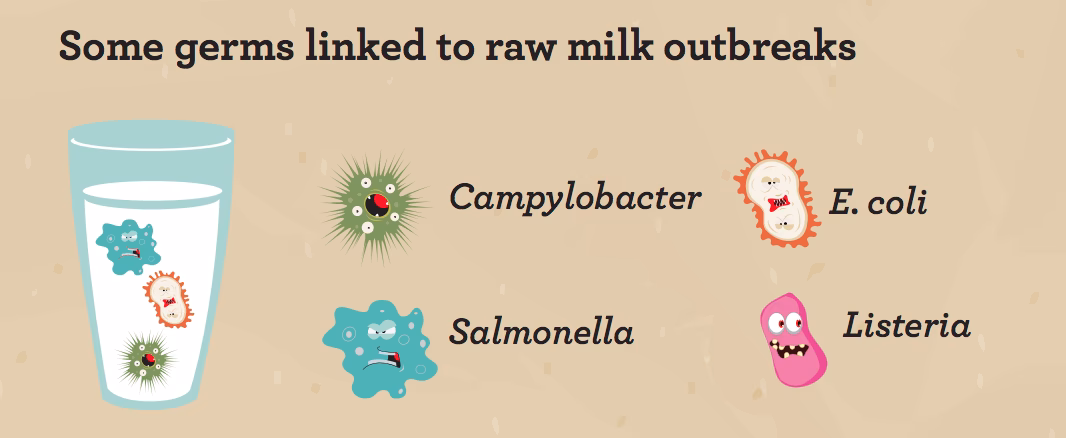 ¿Cuáles son los patógenos que contiene la leche cruda?