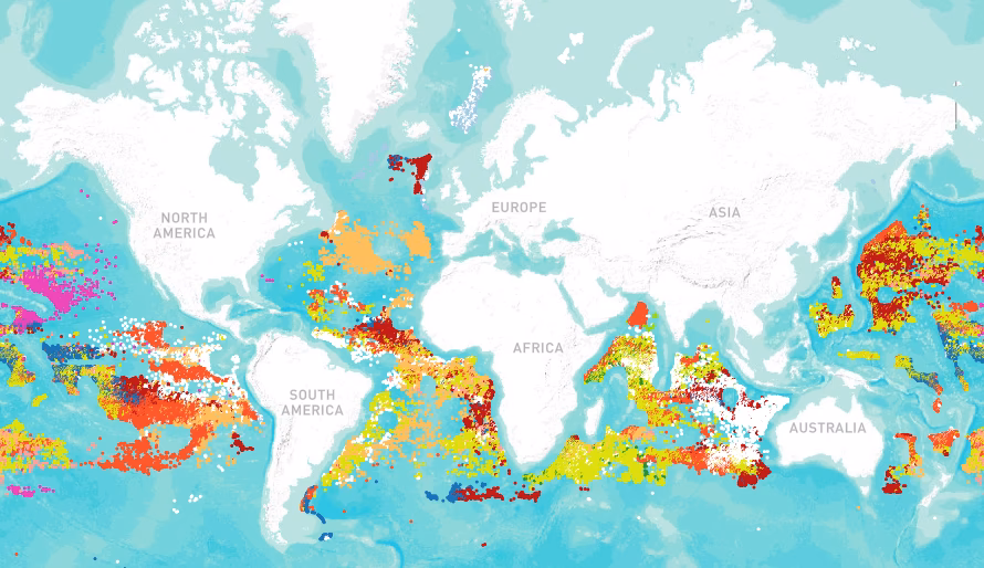 ¿Cuál es el mar más contaminado del mundo?