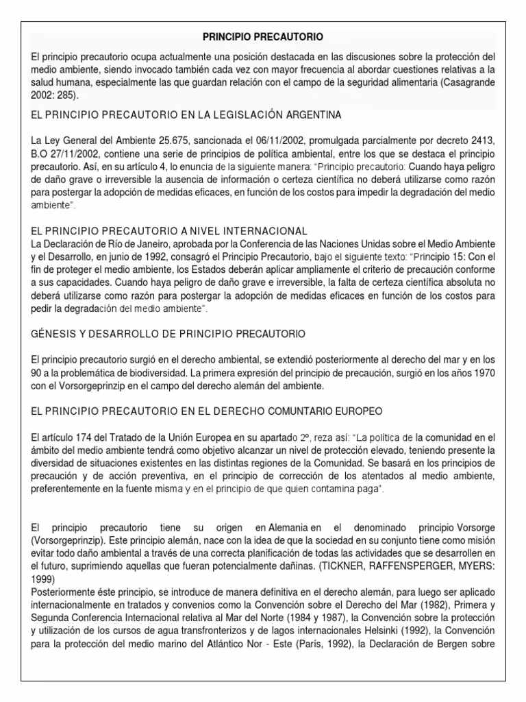 ¿Cuál es el objetivo del trabajo sobre el principio precautorio en Argentina?