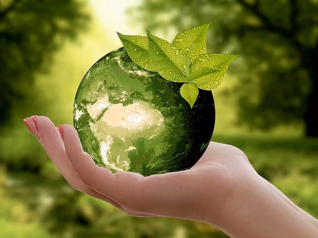 ¿Qué es el principio de precaución ambiental?