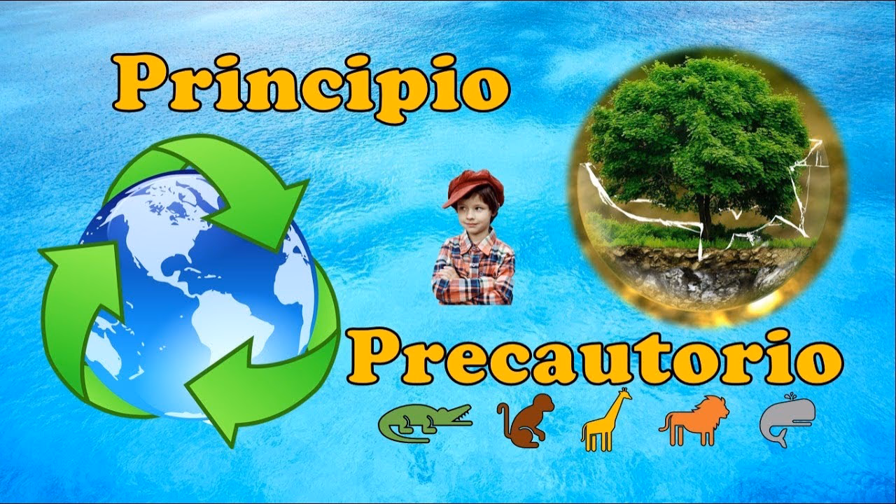 ¿Qué es el principio preventivo?