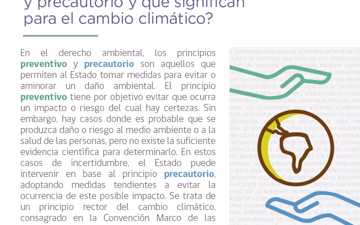 ¿Qué es el principio preventivo?