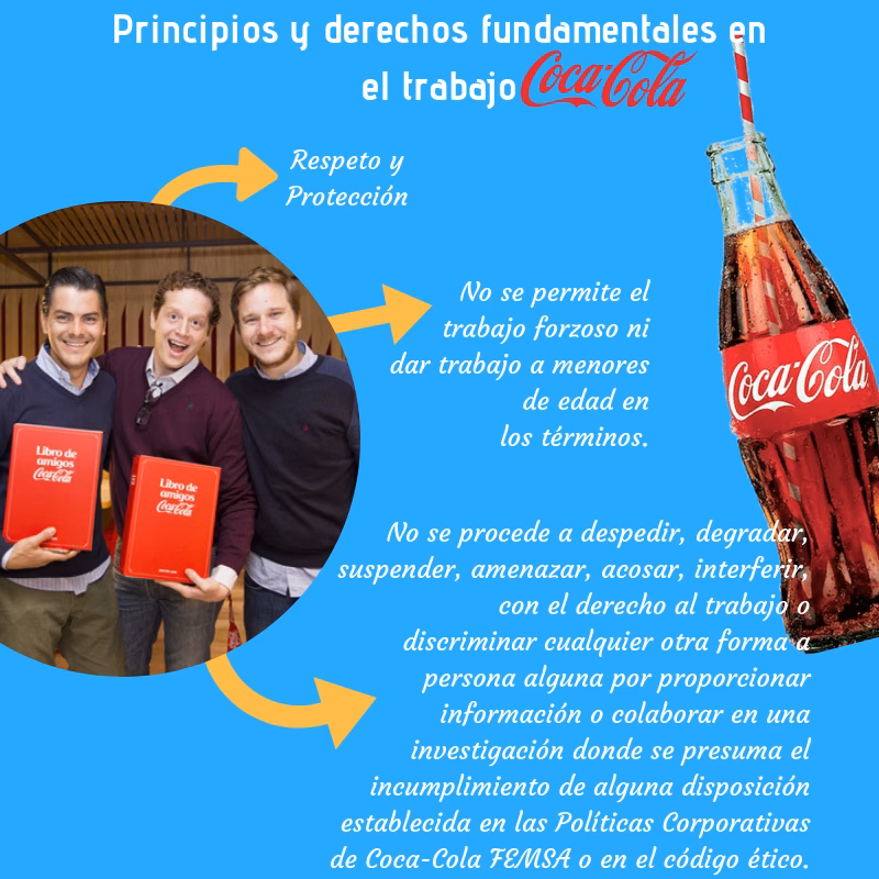 ¿Cuáles son los principios rectores para proveedores de Coca Cola?