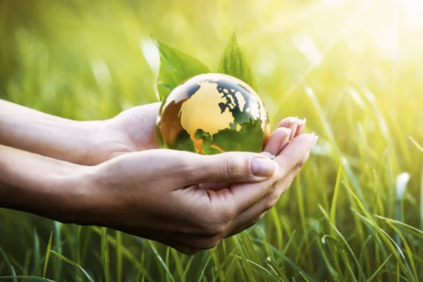 ¿Por qué es importante el cuidado del Medio Ambiente?