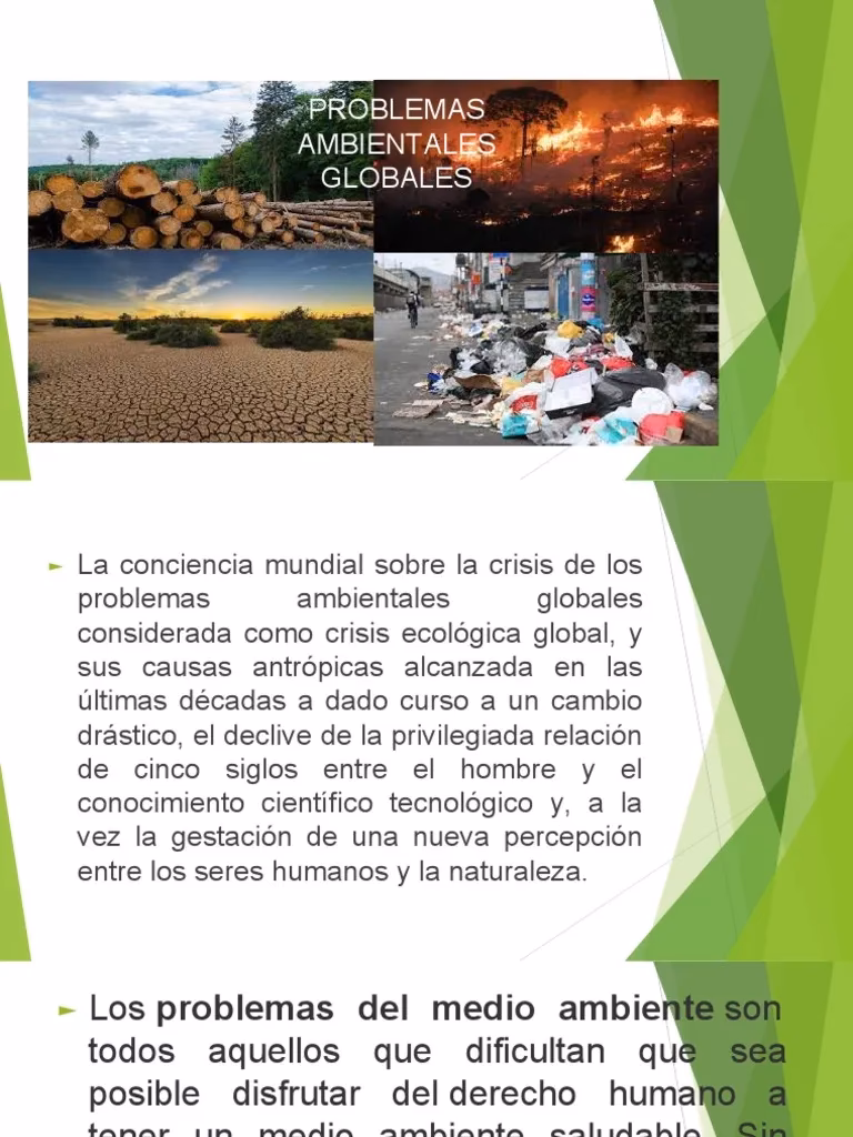 ¿Cuáles son las consecuencias de los problemas ambientales globales?