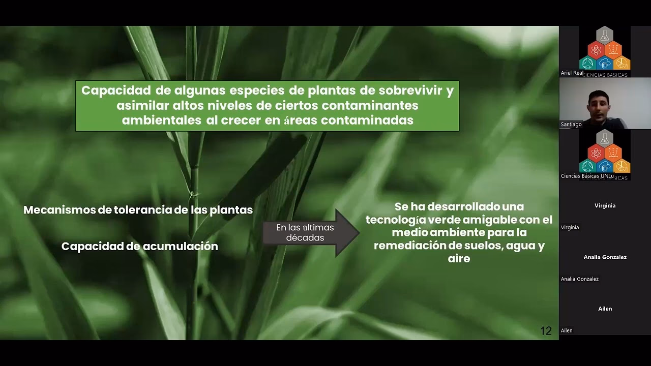 ¿Cuáles son los impactos ambientales de las plantas desaladoras?